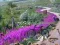 Vanishing Trail — free online game