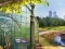 Park Cleaners — free online game
