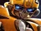 Bumblebee Hidden Spots — jogo online grátis