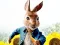 Spil Peter Rabbit Maze Mischief online