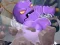 Break The Rock — free online game