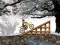 Ice Biker — free online game