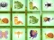 Find The Insect — free online game