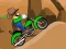 Cowboy Luigi Bike