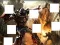 Transformers 3 image puzzles — free online game