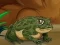 Frogs Matching — free online game