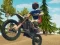 Dirt Bike Enduro Racing — free online game