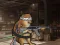 Doge's Battle Royale — free online game