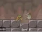 Roly-Poly Eliminator 2 — free online game