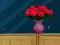 Space House Escape — free online game