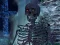 World of Skeletons - Hidden Stars — free online game