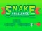 Snake Challenge — free online game