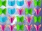 Butterfly Collector — free online game
