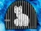 Snow Fox Escape — free online game