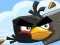 Crazy Birds — free online game
