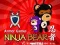 Ninja Bear