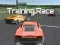 Training Race — free online game