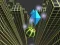 Marble Rolling Stunt — free online game