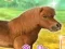 My Dear Pony — free online game