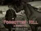 Forgotten Hill Memento: Run Run little Horse — free online game