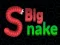 Big Snake.io — free online game