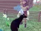 Deer Simulator 3D — free online game