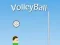 VolleyBall — free online game