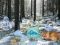 Winter Wonderland Forest Adventure — free online game