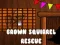 Mäng Brown Squirrel Rescue Internetis