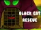 Black Cat Rescue — free online game
