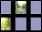 Nature Memory — free online game
