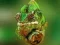 Chameleon Jigsaw — free online game