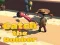 Catsh the robber — free online game