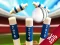 Mini Cricket: Ground Championship World Cup 2019 — free online game