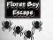 Floret Boy Escape — free online game