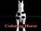 Coloring horse — free online game