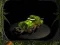 Vangers — free online game