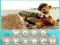 Word Search — free online game