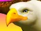 Eagle Ride — free online game