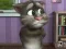 Trò chơi Talking Tom Cat 2 trực tuyến