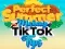 Perfect summer makeup tik tok tips — free online game
