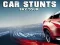 Car Stunts Sky Tour — free online game