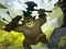Clash of Warriors — free online game
