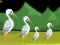 Help To Rescue The Queen — free online game