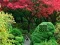 Maple Leaf Garden Escape — free online game