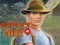 Spil Contact lost online