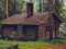 Assist The Barn Owl — free online game