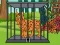 Funny Lynx Escape — free online game