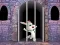 Victory Rabbit Escape — free online game