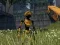 In Search of Wisdom and Salvation — free online game